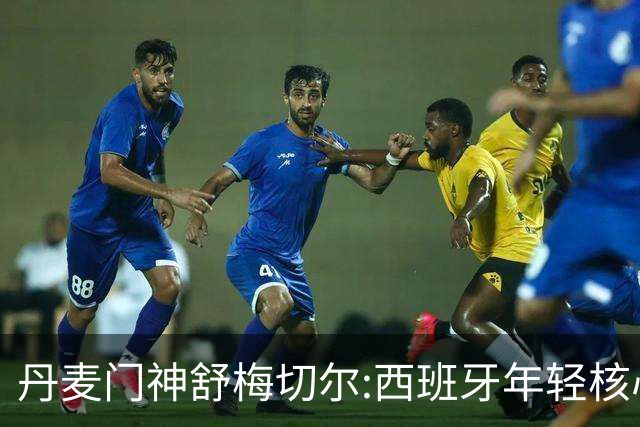 丹麦门神舒梅切尔:西班牙年轻核心群让他们“长期危险”