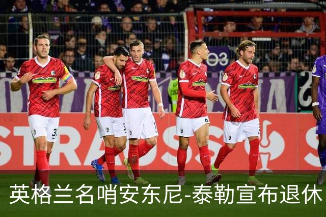 英格兰名哨安东尼-泰勒宣布退休：现在是时候退到一边了